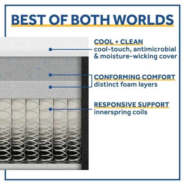 Sealy™ Cool & Clean 12  Medium Hybrid Mattress Supply