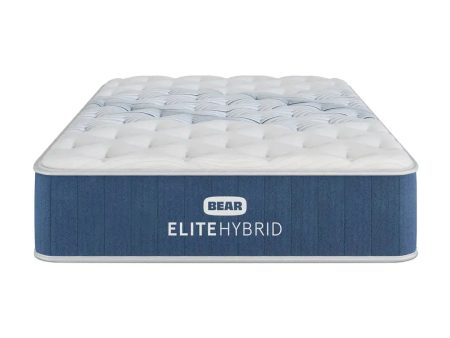 Bear™ Elite Hybrid Mattress 14  (3 Firmness Options) Online now