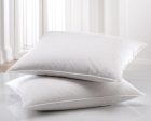 Plume Down and Feathers 250 Thread Count Pillow on Sale