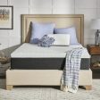 Sealy™ Cool & Clean 12  Medium Hybrid Mattress Supply