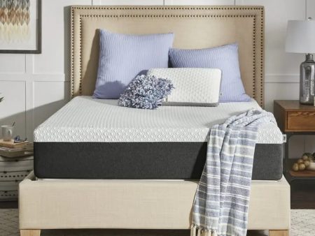 Sealy™ Cool & Clean 12  Medium Hybrid Mattress Supply