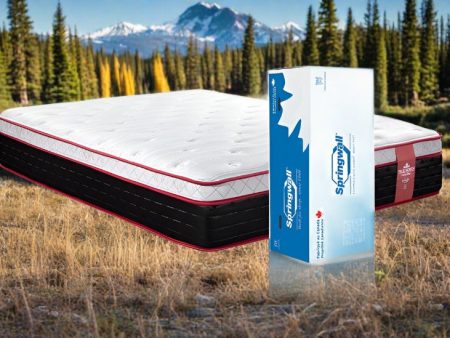 California King Size Chiropractic Pelee 13  Pocket Coil Mattress Online now