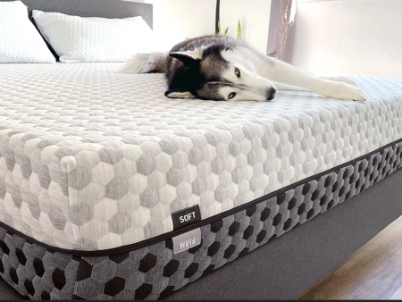 Layla Mattress For Discount