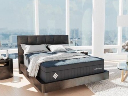 Intellibed Matrix Grand Mattress Online