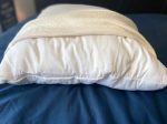 Birch Organic Pillow Hot on Sale