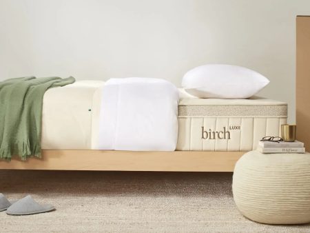 Birch™ Luxe Natural Mattress 11.5  Discount