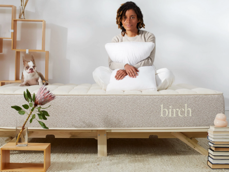 Birch Mattress Cheap