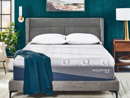 MOLECULE Reflex Hybrid 13  Medium Firm Mattress Hot on Sale