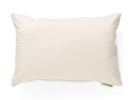 100% Unbleached Cotton Certified Organic Pillow Discount