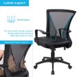 Furmax Office Chair Back Swivel Lumbar Support Desk Chair Fashion