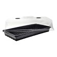 1020 Trays - Extra Strength No Holes, 5 pack, for Propagation Seed Starter, Plant Germination, Seedling Flat, Fodder, Microgreens For Discount