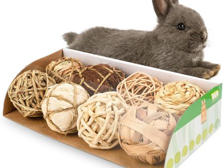 WoLover Small Animals Play Balls Rolling Chew Toys & Gnawing Treats for Rabbits Guinea Pigs Chinchilla Bunny Degus - Pet Cage Entertainment Accessories Cheap