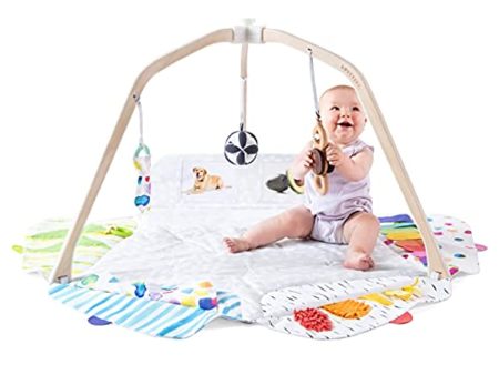 CCBOAY  Gym by Lovevery | Stage-Based Developmental Activity Gym & Play Mat for Baby to Toddler Online