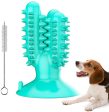 DUDU Dog Toys for Aggressive Chewers Large Breed, Toothbrush Stick for Dental Care, Natural Rubber Chew Toy for Large & Medium Dogs Pets (Blue) Online Hot Sale