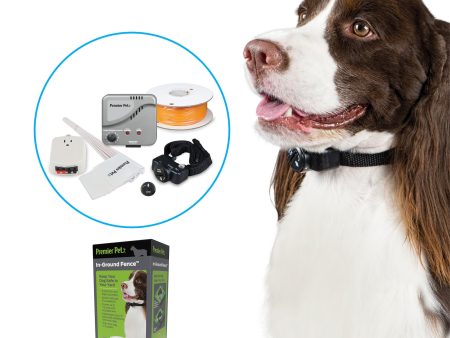 Premier Pet In-Ground Fence for Dogs Online