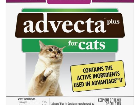 Advecta Plus Flea Treatment for Small Cat, 4 Monthly Treatments For Sale