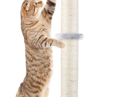 Dimaka 29  Tall Cat Scratching Post, Claw Scratcher with Sisal Rope, Teasing Toy Ball and Covered with Soft Plush (Grey 2) Discount