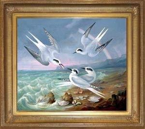 Havell Terns at the Shore Hot on Sale