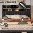 Elinor 2 Drawer Charcoal Linen Bed with LED Lighting, Type C and USB Charging Wing Headboard Shelf Cheap