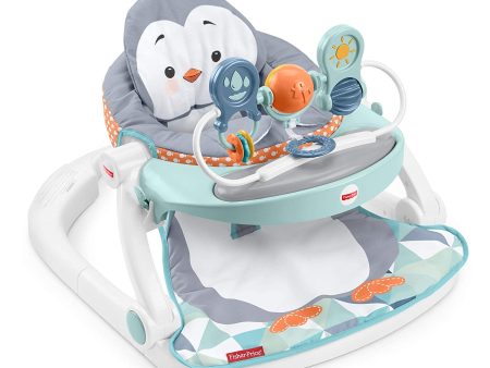 Fisher-Price Sit-to-Stand, 3-in-1 Entertainer Converts From Newborn Mat and Infant Activity Center to Toddler Play Table, Multi Online now