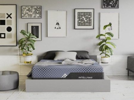 Intellibed Matrix Mattress Online