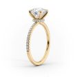 The Pave Nelly Set With A 4 Carat Radiant Moissanite Hot on Sale